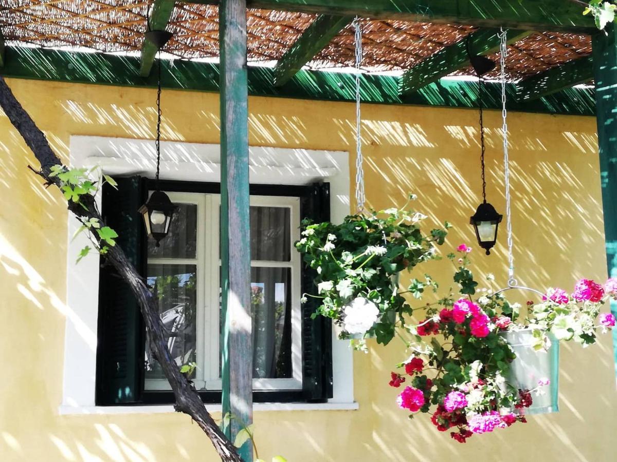 Garden House In Corfu Corfu (city) Exterior foto